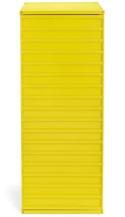 Container DS Plus