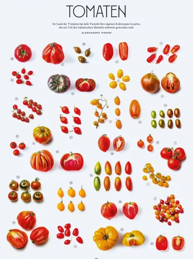 Die Gourmet-Bibel Italien