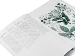 Geschenkpapier Pepin