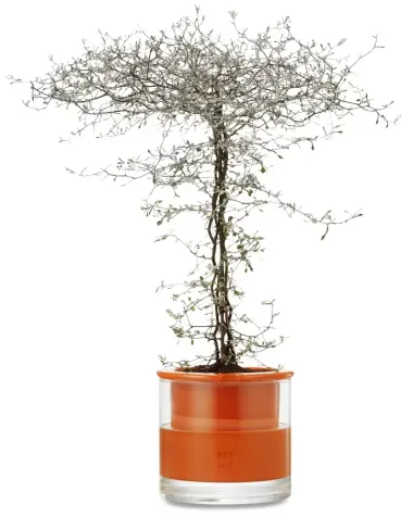 Pflanzgefäß Wet Pot Systems