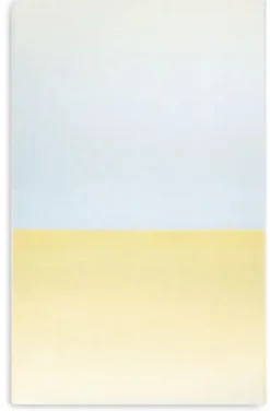 Schurwolldecke Gradient