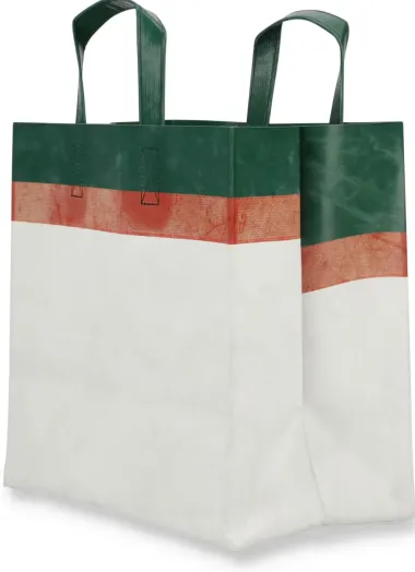 Tasche F250 Sonny