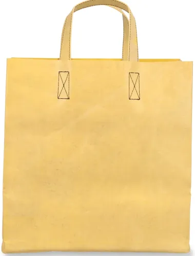 Tasche F250 Sonny