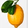 The Gourmand's Lemon