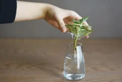Vase Aqua, klein