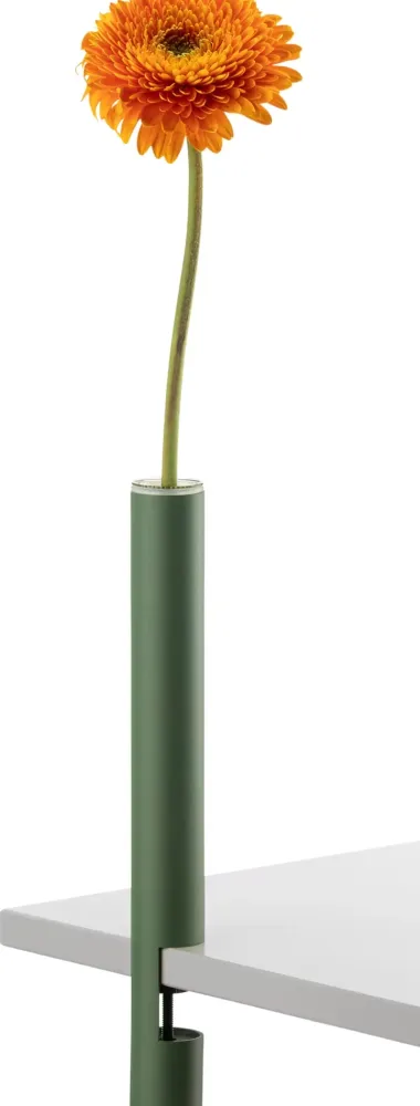 Vase CLEM