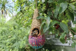 Vogelnest Upcycling